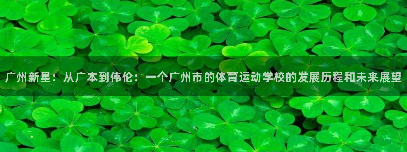 凯发官方正版app五金厂:广州新星:从广本到伟伦:一个广州市