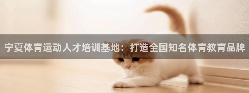 凯发官网下载注册:宁夏体育运动人才培训基地:打造全国知名体育